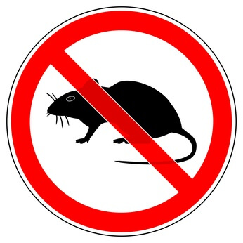 ratten verbotszeichen